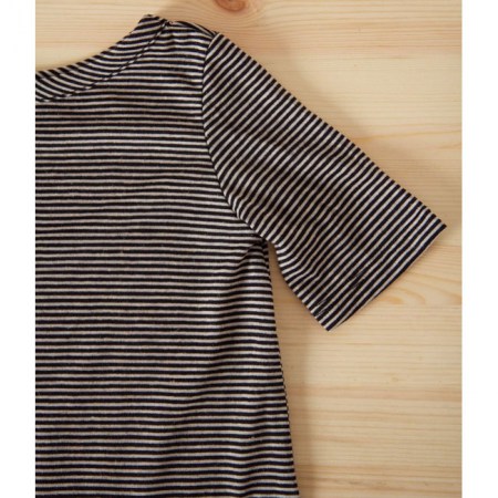 ministripedetail